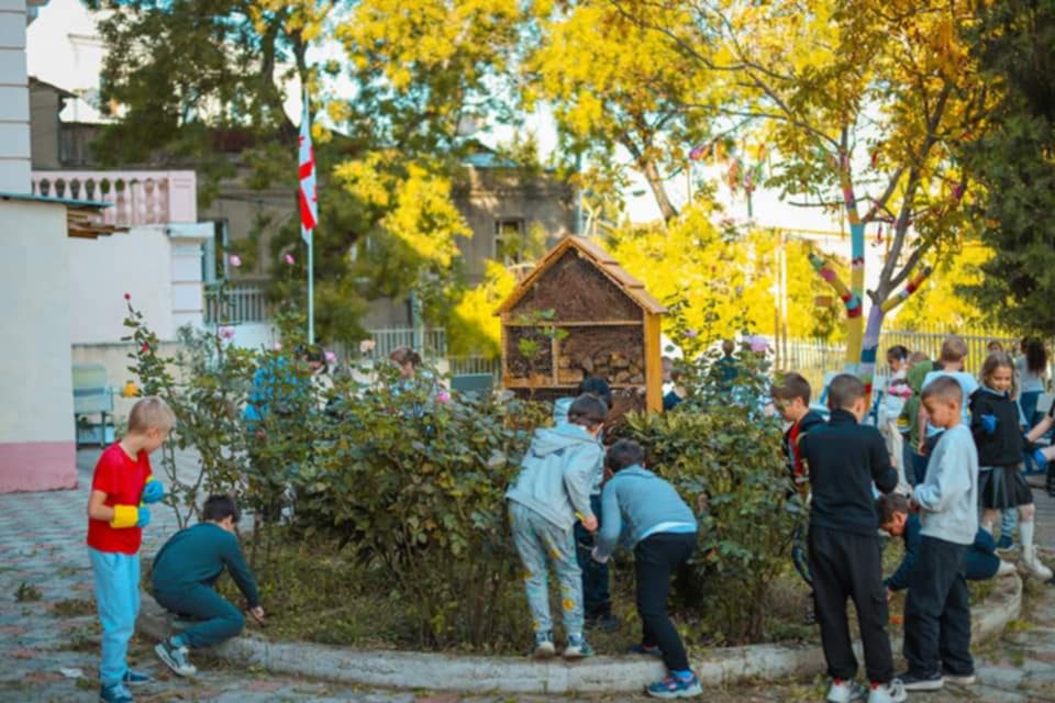 მესამე კლასების მოსწავლეებმა სკოლის ეზო გაამწვანეს